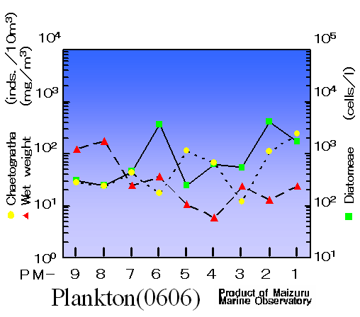 Plankton