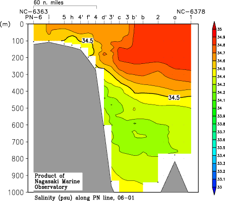 pn_200601_sal.gif