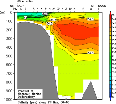 pn_200606_sal.gif
