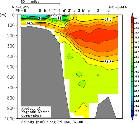 pn_200706_sal.gif