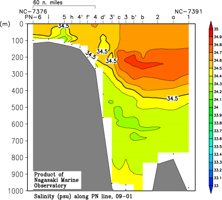 pn_200901_sal.gif