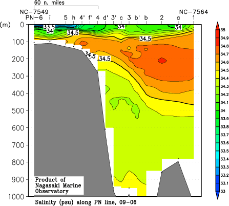 pn_200906_sal.gif