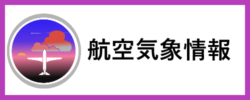 航空気象情報