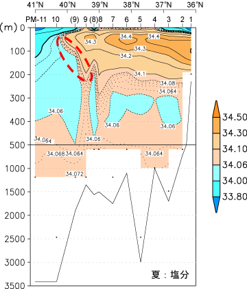 図4(夏：塩分)