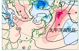 2006年5月の海面気圧と平年からの差