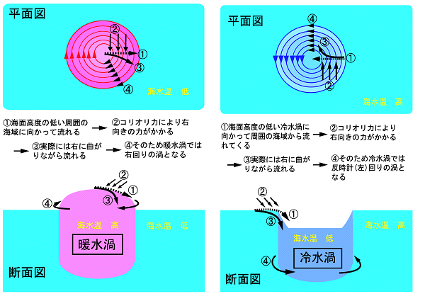 暖水渦(左)・冷水渦(右)の様子