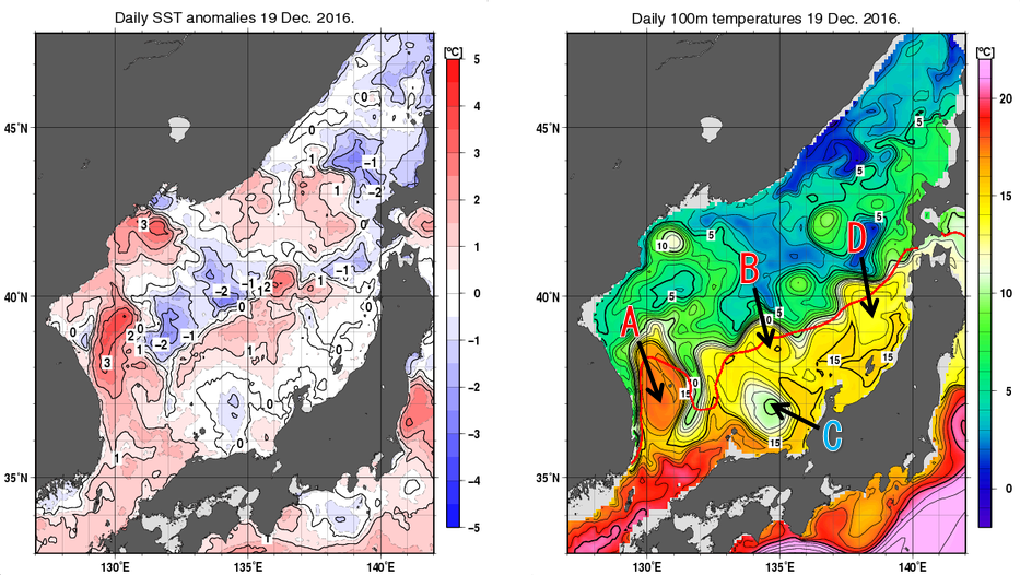 日本海の海面水温平年差分布図および深さ100mの水温分布図（12月19日）