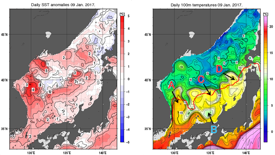 日本海の海面水温平年差分布図および深さ100mの水温分布図（1月9日）