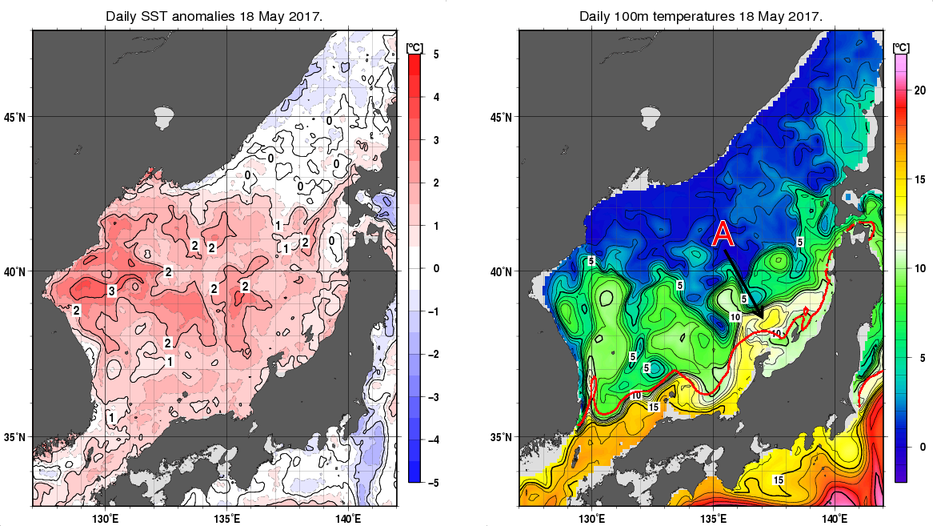 日本海の海面水温平年差分布図および深さ100mの水温分布図（5月18日）