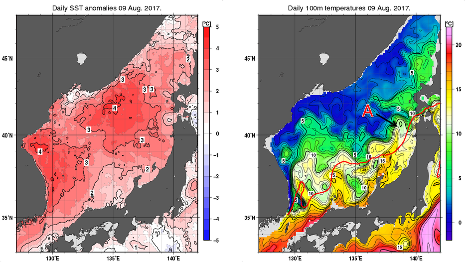 日本海の海面水温平年差分布図および深さ100mの水温分布図（8月9日）