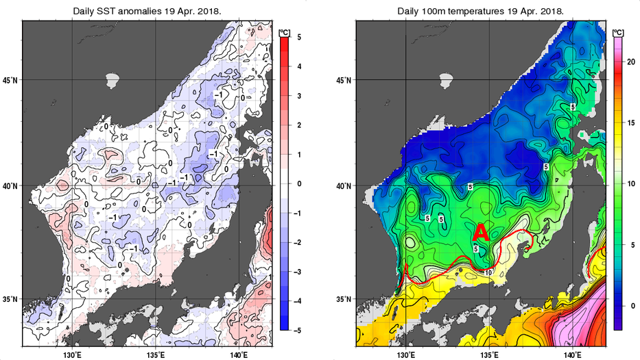 日本海の海面水温平年差分布図および深さ100mの水温分布図（4月19日）