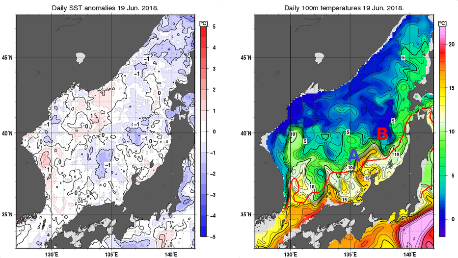 日本海の海面水温平年差分布図および深さ100mの水温分布図（6月19日）