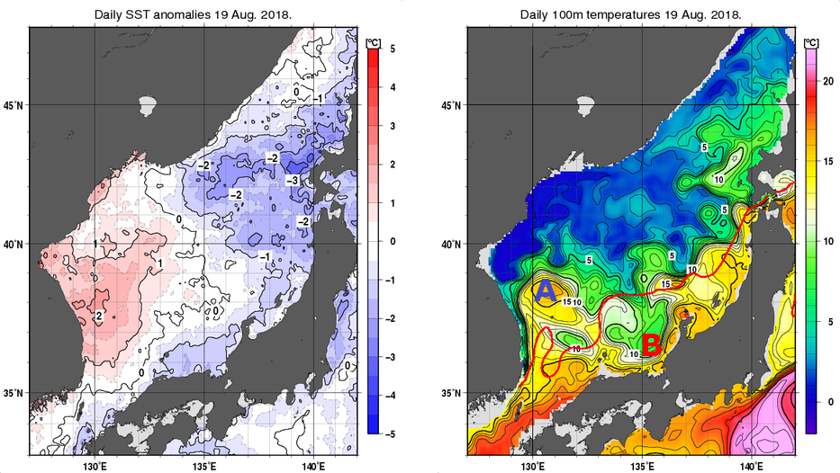 日本海の海面水温平年差分布図および深さ100mの水温分布図（8月19日）