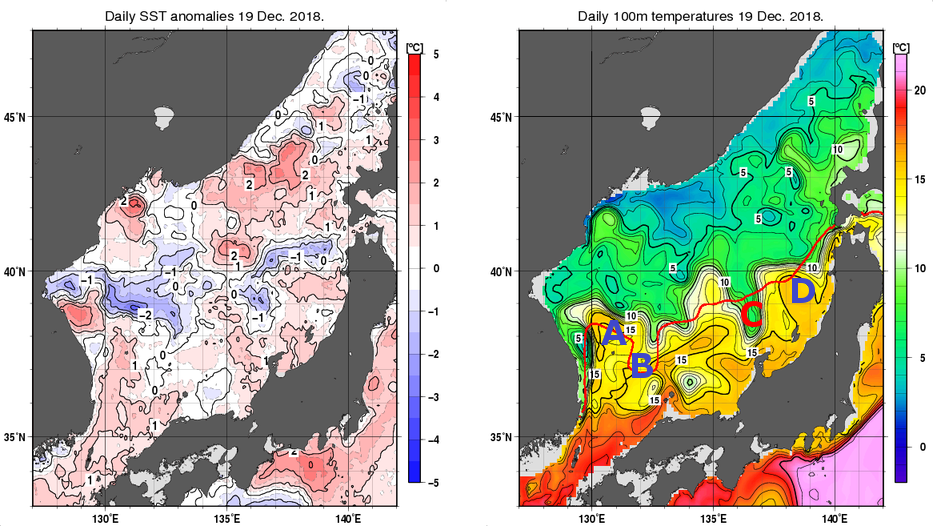日本海の海面水温平年差分布図および深さ100mの水温分布図（12月19日）