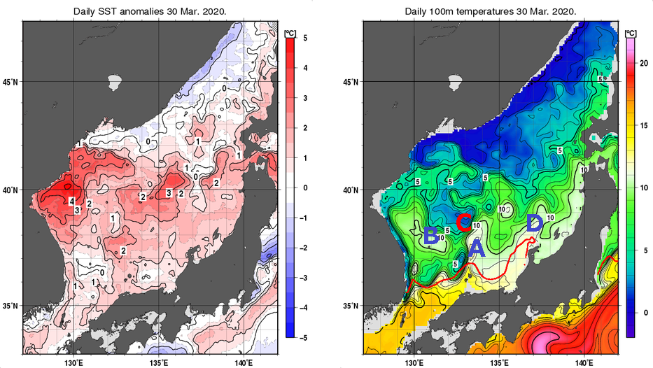 日本海の海面水温平年差分布図および深さ100mの水温分布図（3月30日）