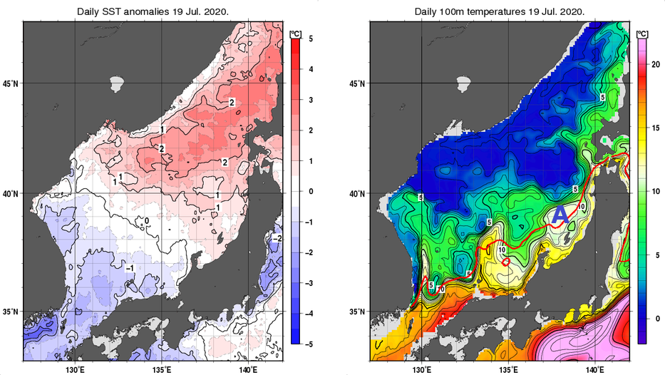 日本海の海面水温平年差分布図および深さ100mの水温分布図（7月19日）