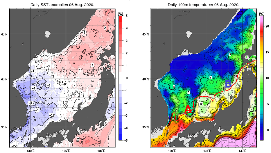 日本海の海面水温平年差分布図および深さ100mの水温分布図（8月6日）