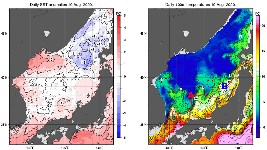 日本海の海面水温平年差分布図および深さ100mの水温分布図（8月19日）