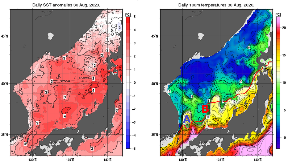日本海の海面水温平年差分布図および深さ100mの水温分布図（8月30日）