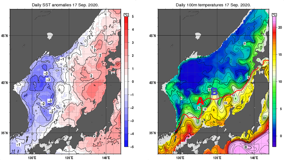 日本海の海面水温平年差分布図および深さ100mの水温分布図（9月17日）