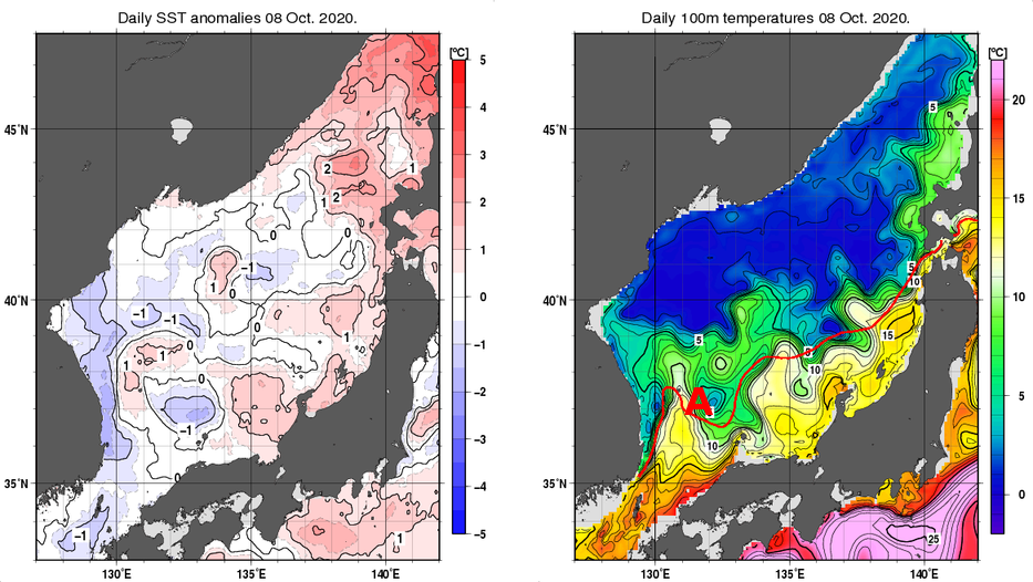日本海の海面水温平年差分布図および深さ100mの水温分布図（10月8日）