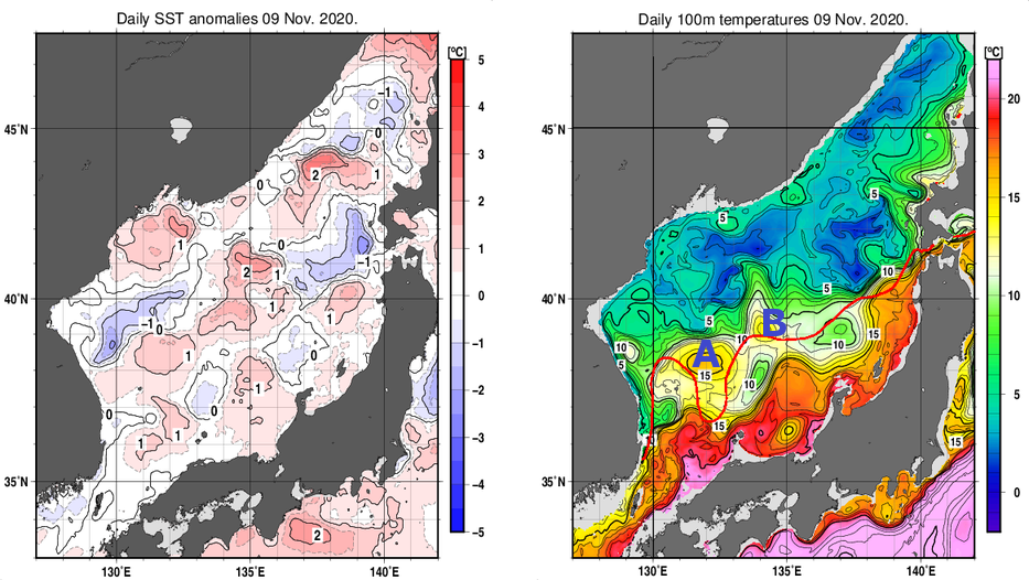 日本海の海面水温平年差分布図および深さ100mの水温分布図（11月9日）