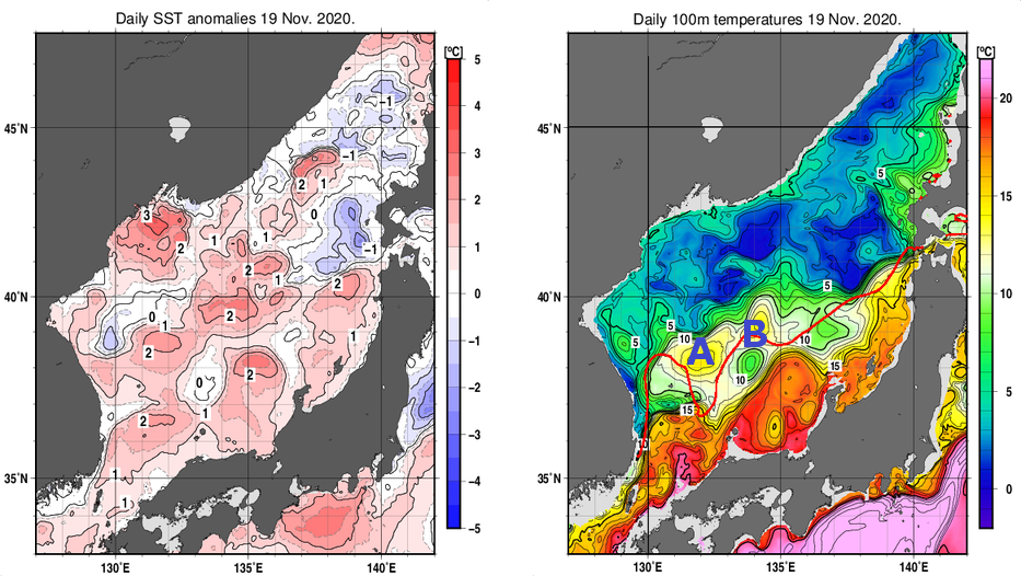 日本海の海面水温平年差分布図および深さ100mの水温分布図（11月19日）