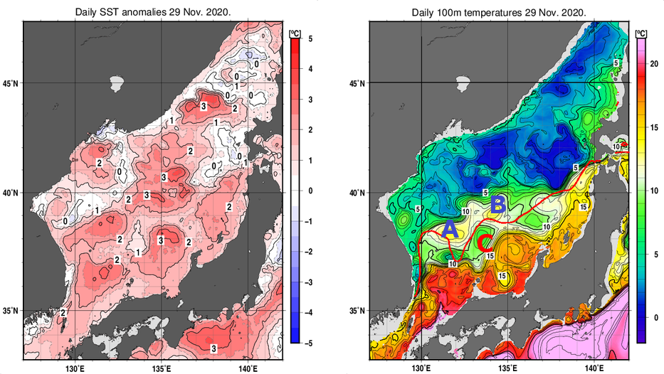 日本海の海面水温平年差分布図および深さ100mの水温分布図（11月29日）