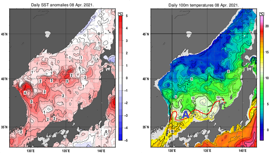 日本海の海面水温平年差分布図および深さ100mの水温分布図（4月8日）