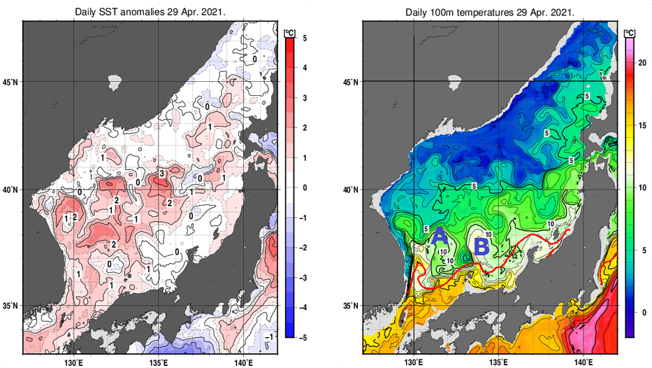 日本海の海面水温平年差分布図および深さ100mの水温分布図（4月29日）
