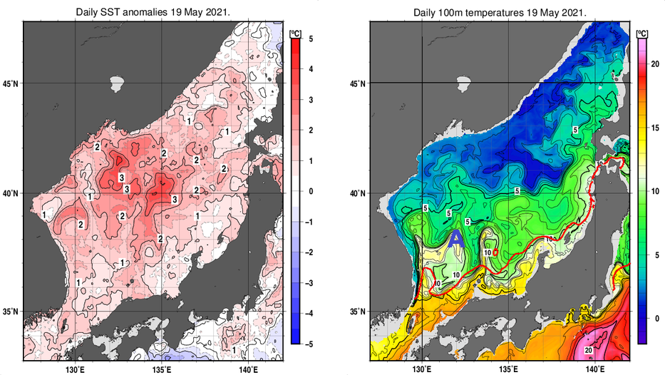 日本海の海面水温平年差分布図および深さ100mの水温分布図（5月19日）