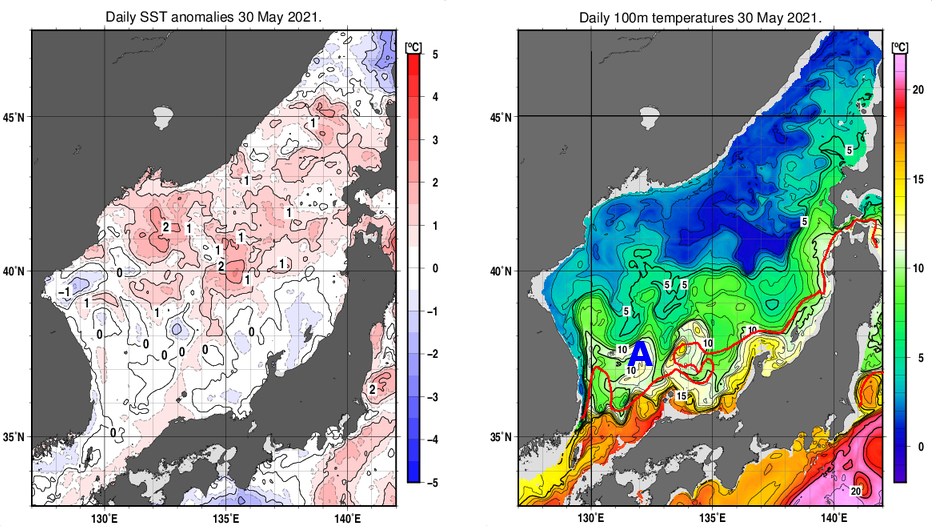 日本海の海面水温平年差分布図および深さ100mの水温分布図（5月30日）