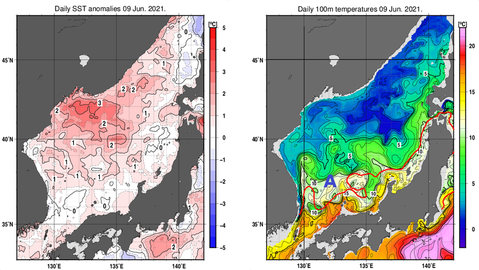 日本海の海面水温平年差分布図および深さ100mの水温分布図（6月9日）