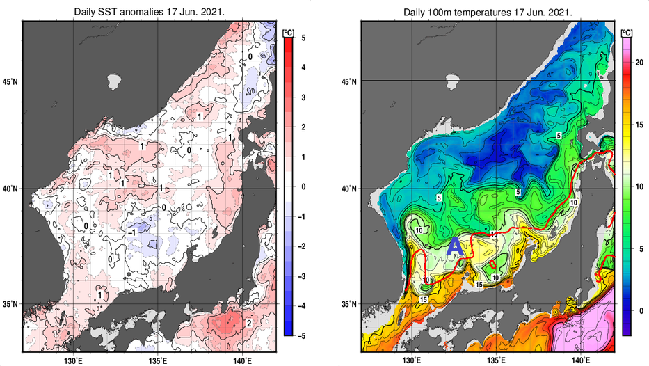 日本海の海面水温平年差分布図および深さ100mの水温分布図（6月17日）