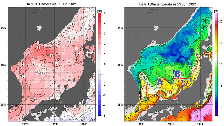日本海の海面水温平年差分布図および深さ100mの水温分布図（6月29日）