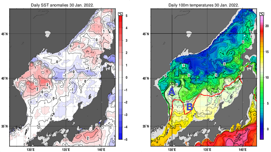 日本海の海面水温平年差分布図および深さ100mの水温分布図（1月30日）