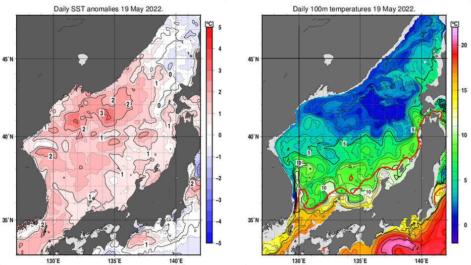 日本海の海面水温平年差分布図および深さ100mの水温分布図（5月19日）