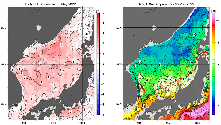 日本海の海面水温平年差分布図および深さ100mの水温分布図（5月30日）