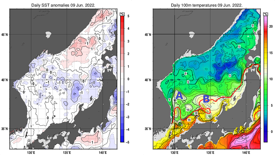 日本海の海面水温平年差分布図および深さ100mの水温分布図（6月9日）
