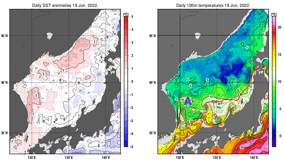 日本海の海面水温平年差分布図および深さ100mの水温分布図（6月19日）
