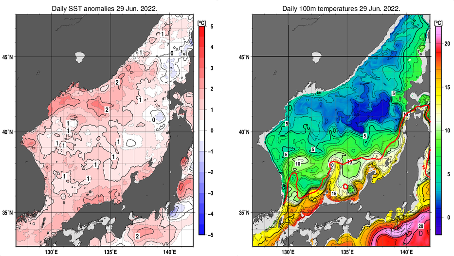 日本海の海面水温平年差分布図および深さ100mの水温分布図（6月29日）