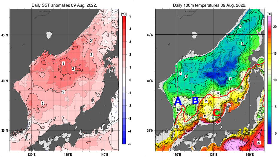 日本海の海面水温平年差分布図および深さ100mの水温分布図（8月9日）