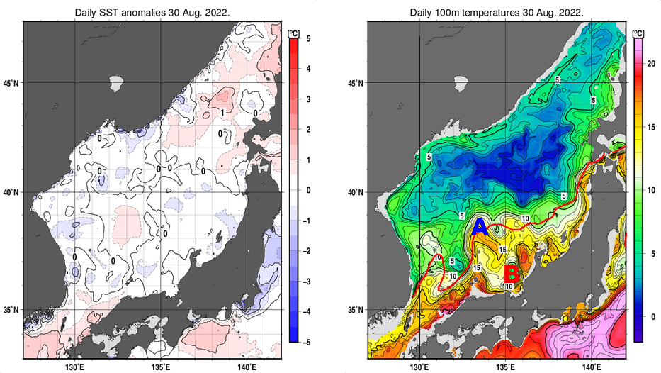 日本海の海面水温平年差分布図および深さ100mの水温分布図（8月30日）