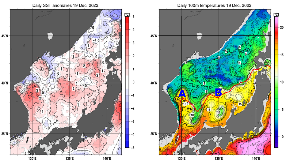 日本海の海面水温平年差分布図および深さ100mの水温分布図（12月19日）