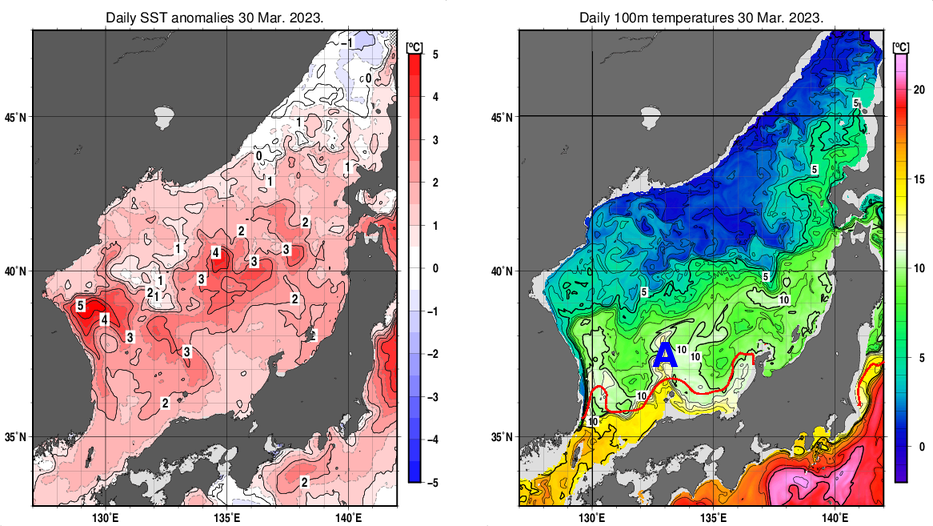 日本海の海面水温平年差分布図および深さ100mの水温分布図（3月30日）