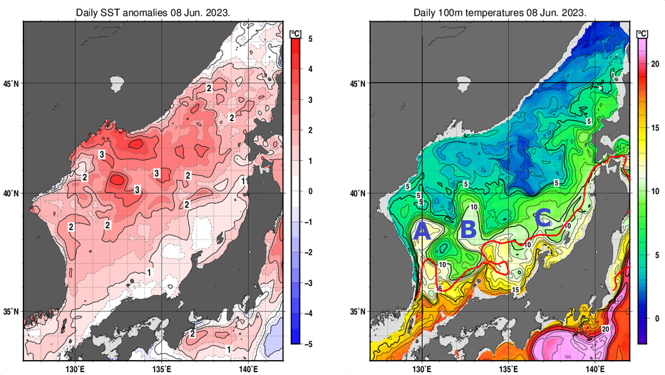 日本海の海面水温平年差分布図および深さ100mの水温分布図（6月8日）