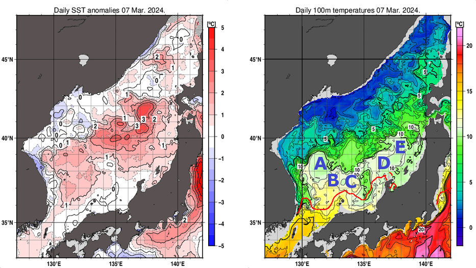 日本海の海面水温平年差分布図および深さ100mの水温分布図（3月7日）