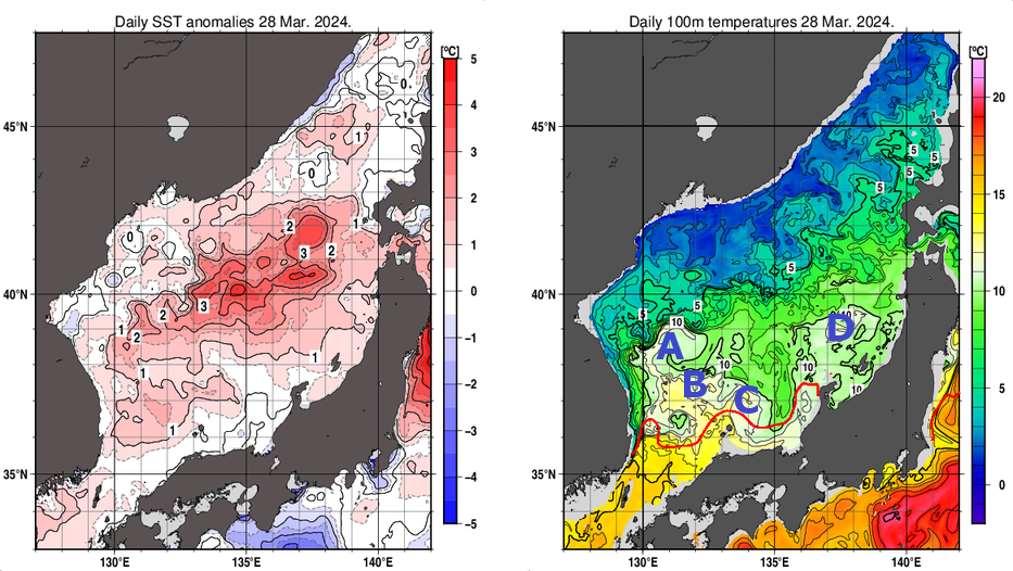 日本海の海面水温平年差分布図および深さ100mの水温分布図（3月28日）