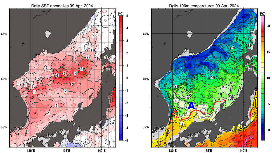 日本海の海面水温平年差分布図および深さ100mの水温分布図（4月9日）