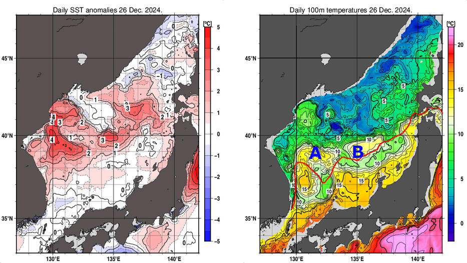日本海の海面水温平年差分布図および深さ100mの水温分布図（12月26日）